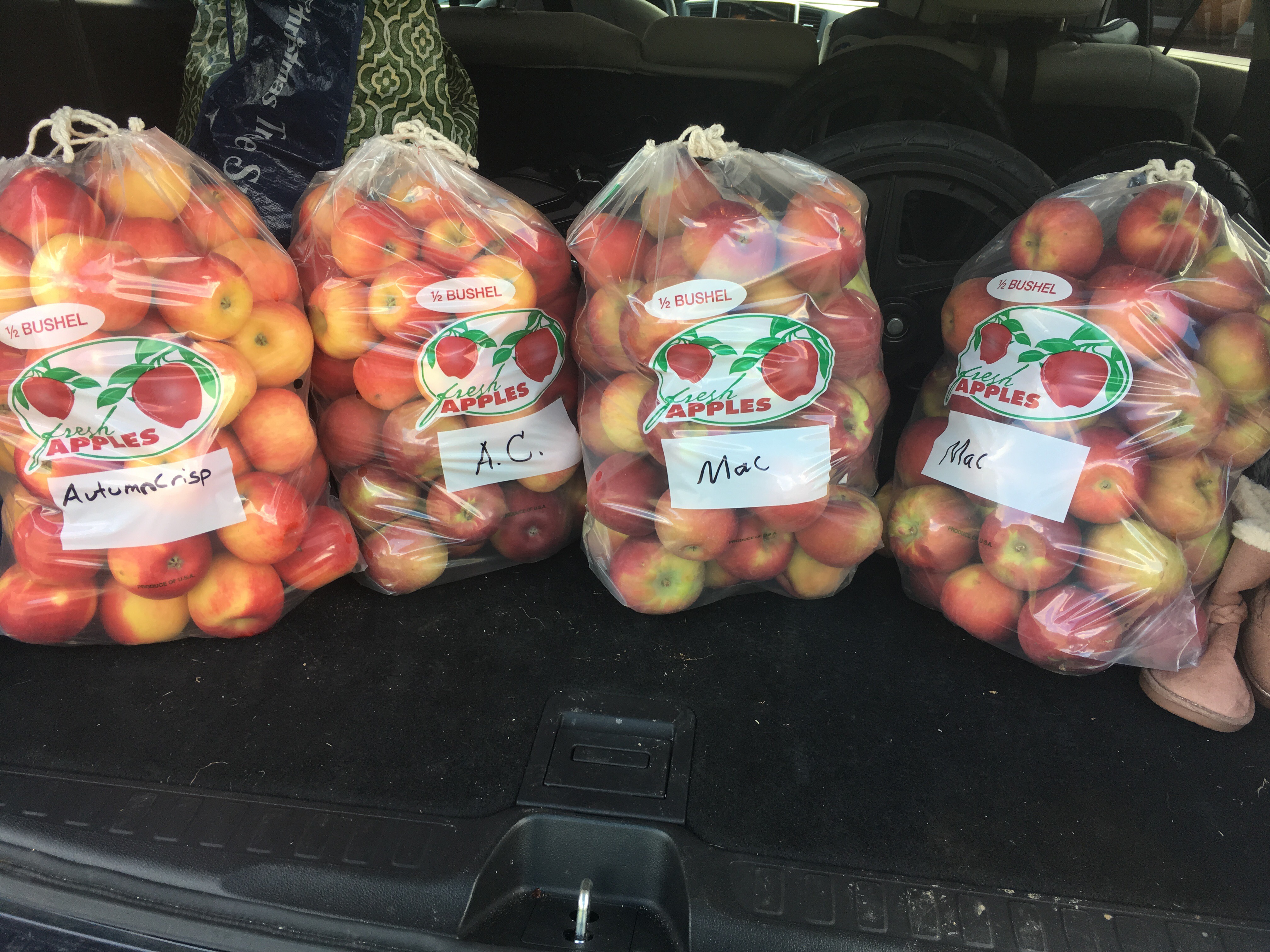 bags of apples that will be used for pie filling