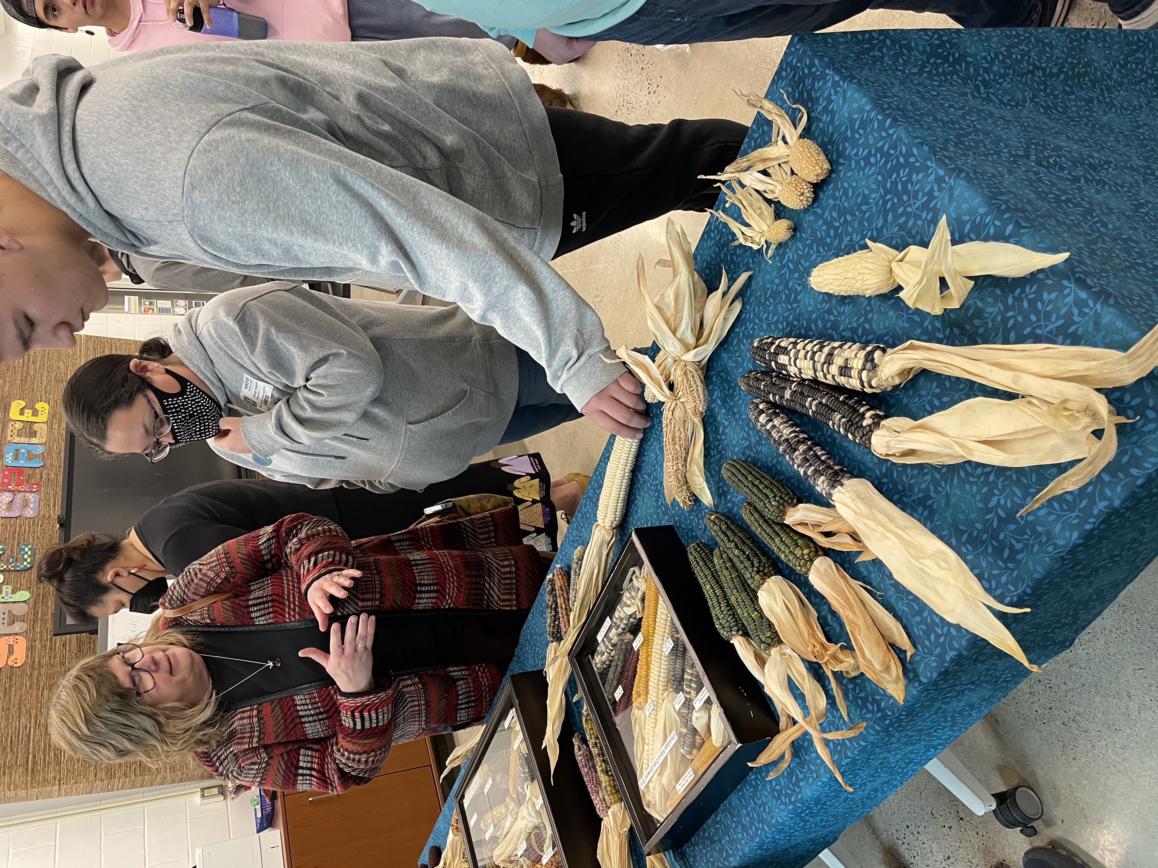 students studying display of maize on table