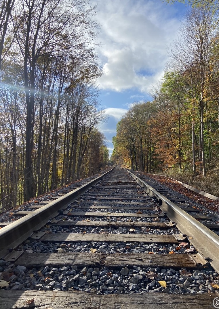 picture of train tracks with fall foliage